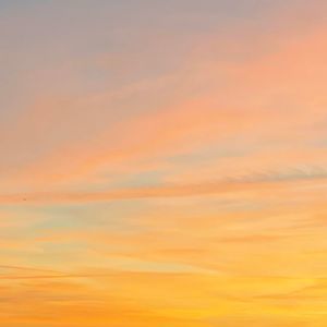 Meet your Posher, Deb